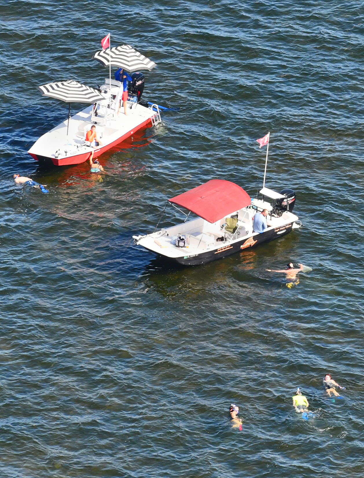 Scallop season slow